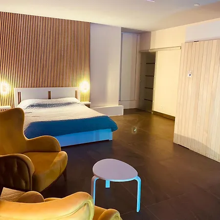 Loft Avec Jacuzzi Pro Et Sauna Privatif Aparthotel